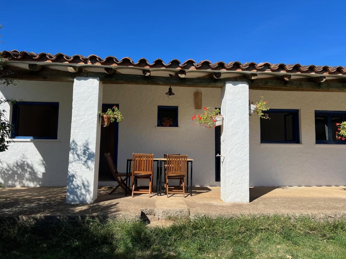 Murillo de Gállego Camping Bungalows Armalygal מראה חיצוני תמונה