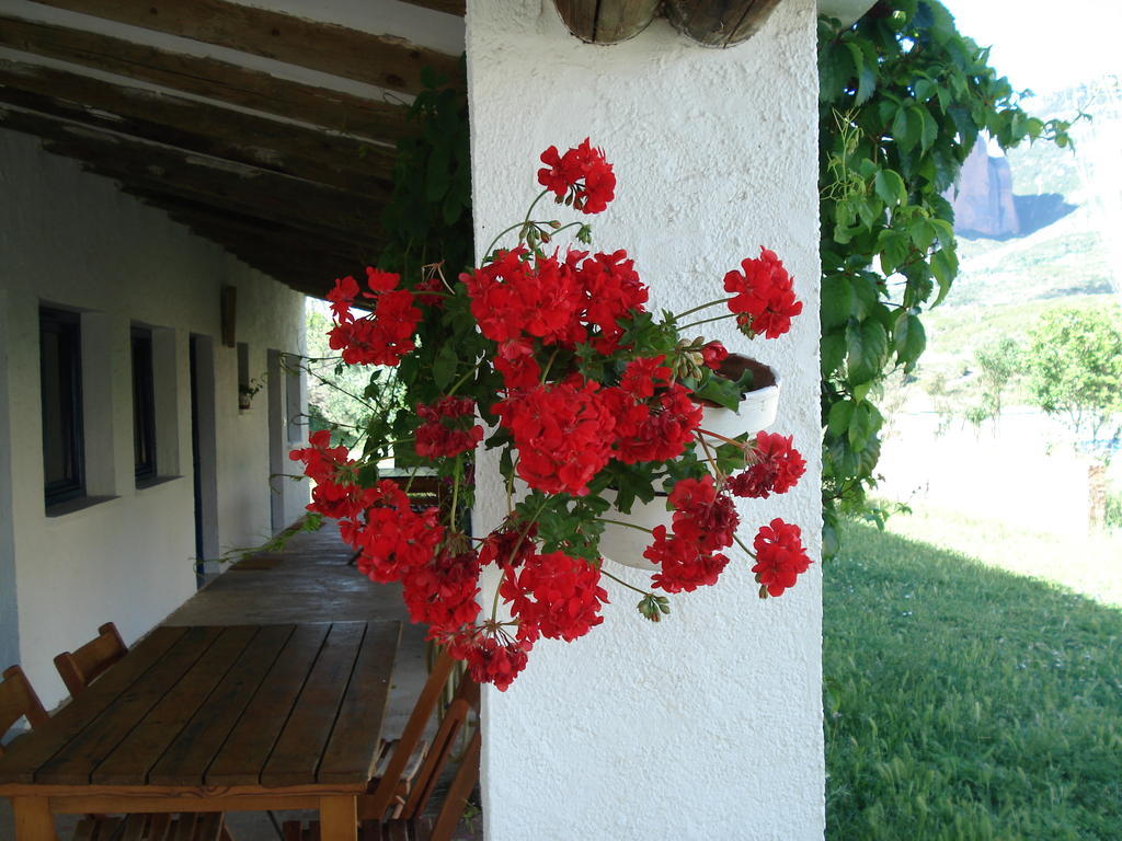 Murillo de Gállego Camping Bungalows Armalygal חדר תמונה