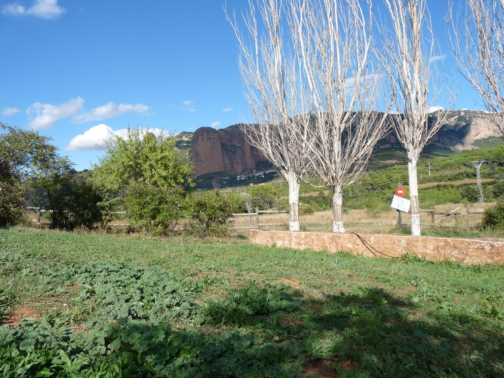 Murillo de Gállego Camping Bungalows Armalygal מראה חיצוני תמונה